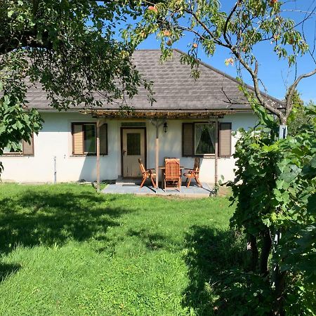 Urlaub Im Weingarten Winten  Luaran gambar