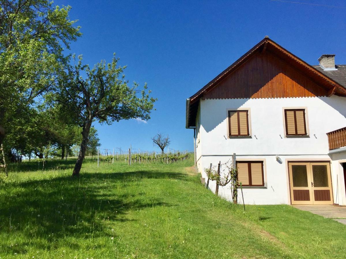 Urlaub Im Weingarten Winten  Luaran gambar