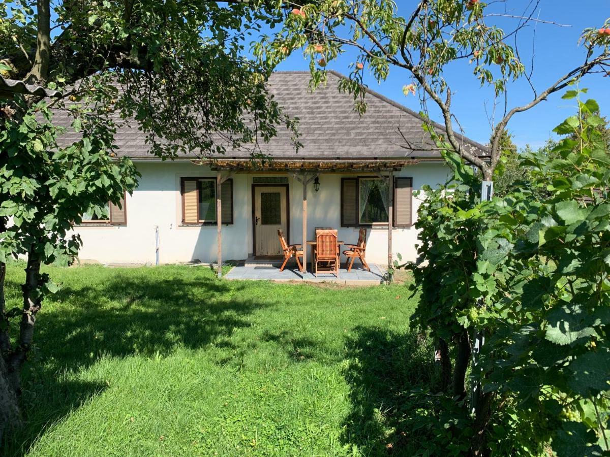 Urlaub Im Weingarten Winten  Luaran gambar