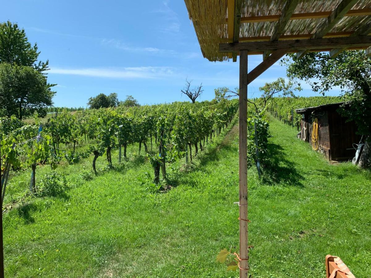 Urlaub Im Weingarten Winten  Luaran gambar
