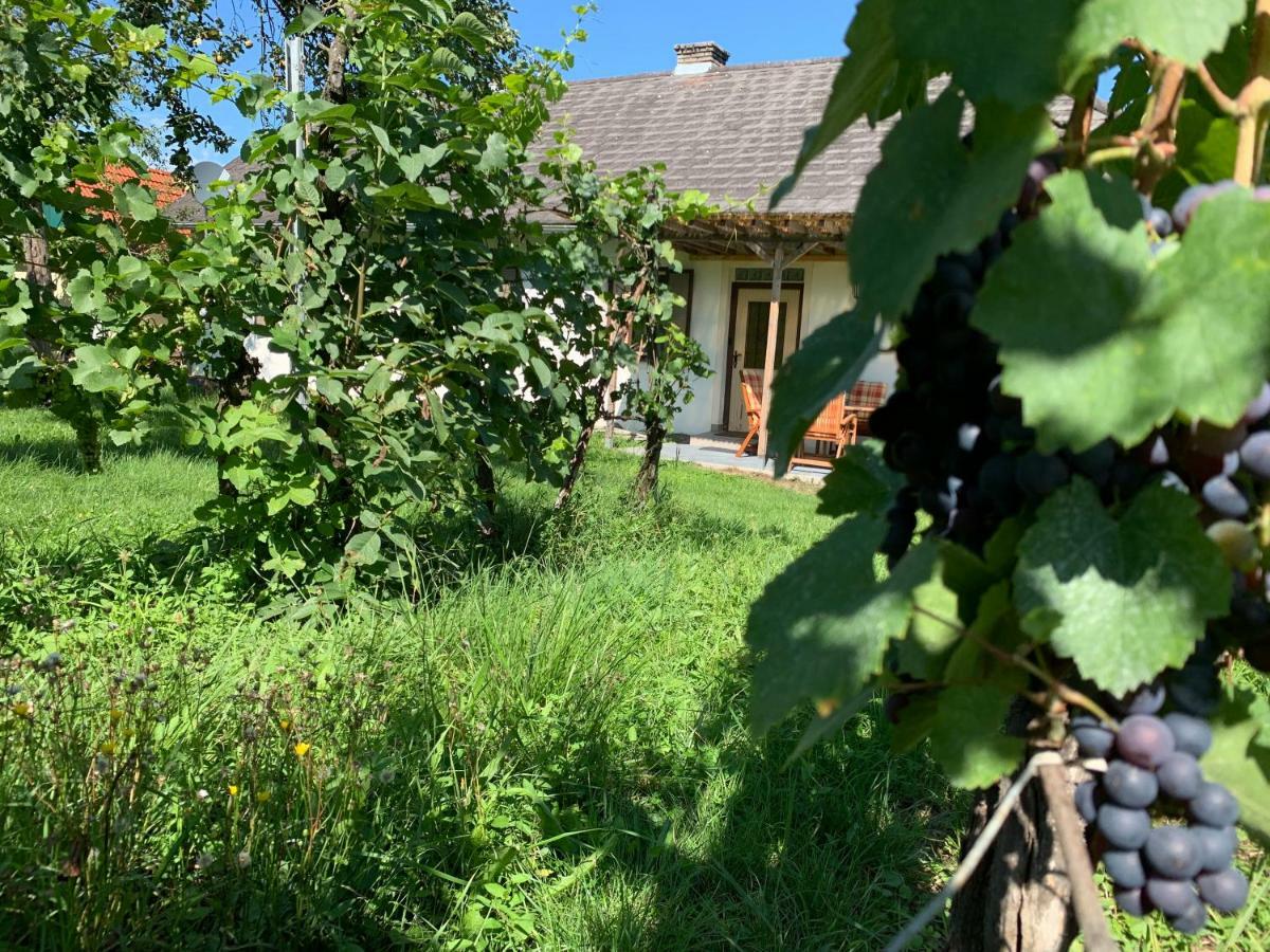 Urlaub Im Weingarten Winten  Luaran gambar