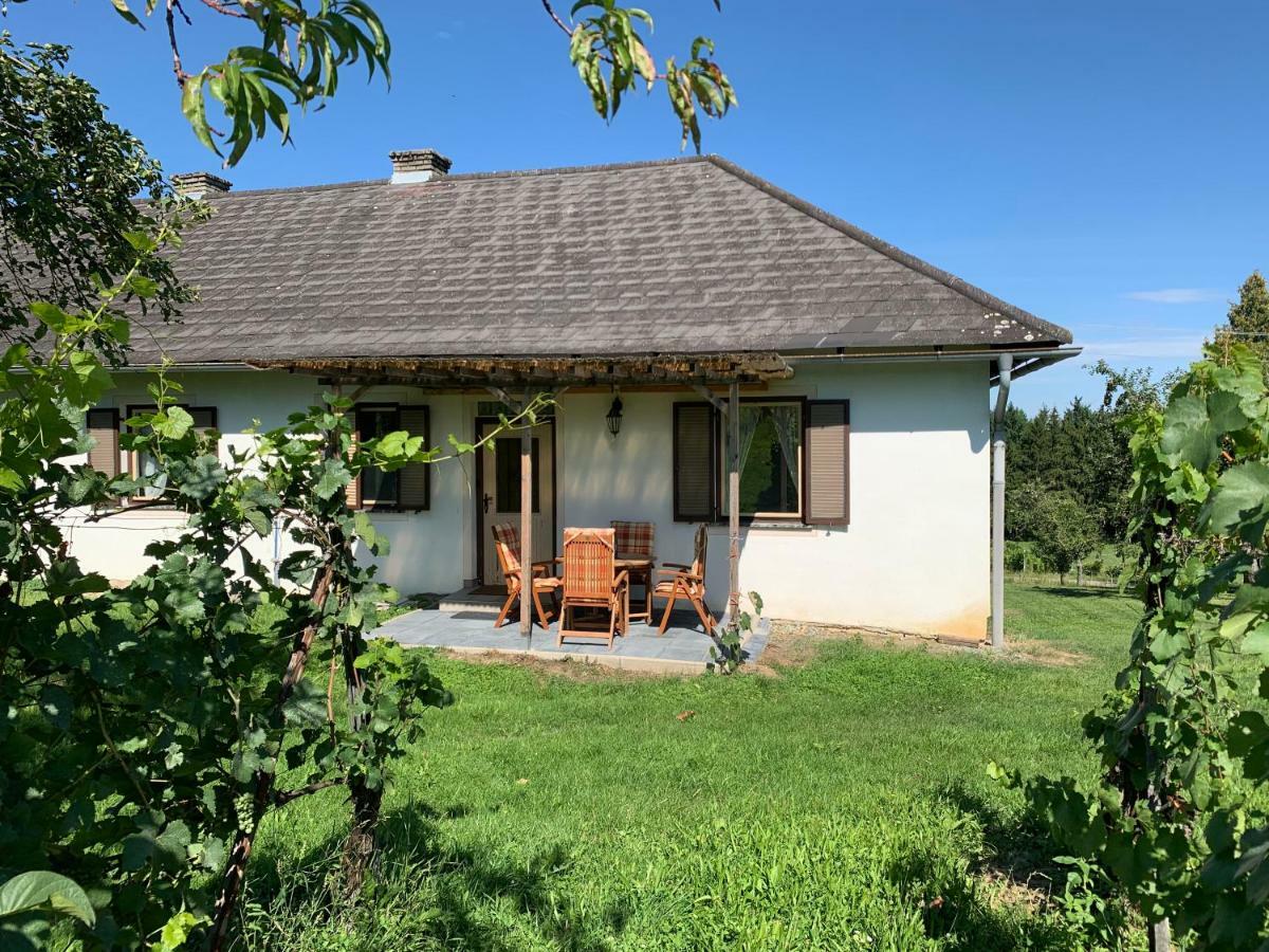 Urlaub Im Weingarten Winten  Luaran gambar